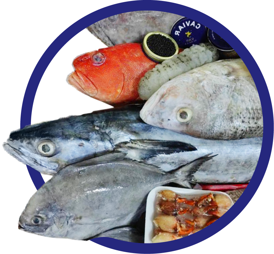 Delivering Ocean Freshness to Your Business